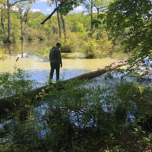 Meet your Posher, Lawton